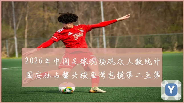 2026年中国足球现场观众人数统计国安独占鳌头梭鱼湾包揽第二至第七位